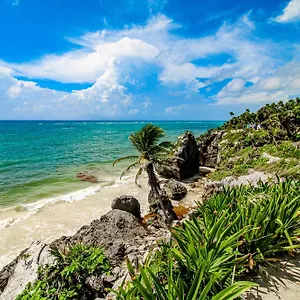 https://the-hibiscus-house.quintano-roohotels.com
